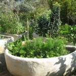 Edible Gardens