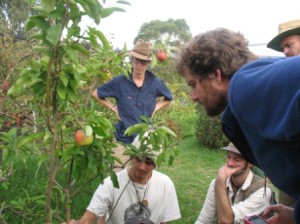 Sustainable Orchard Management with Peter Coppin July 21 2012