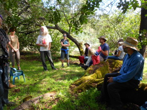 Learning from the author of the well known "Permaculture Plants" book Jeff Nugent in a shady grove at his property