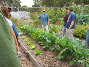 One of the many inspired, hands on sessions given by Jamie McCall from Burnside Organic Farm