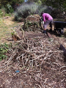 building compost piles on the dry beds during summer