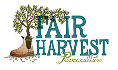 Fair Harvest Permaculture