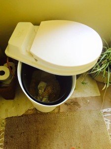 compost toilet