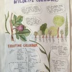 Extract from a PDC final design: Wildlife Corridors and fruiting calendar