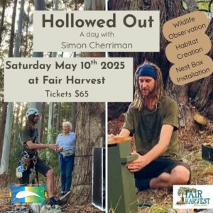 Hollowed Out  " A day with Simon Cherriman" May 10th 2025